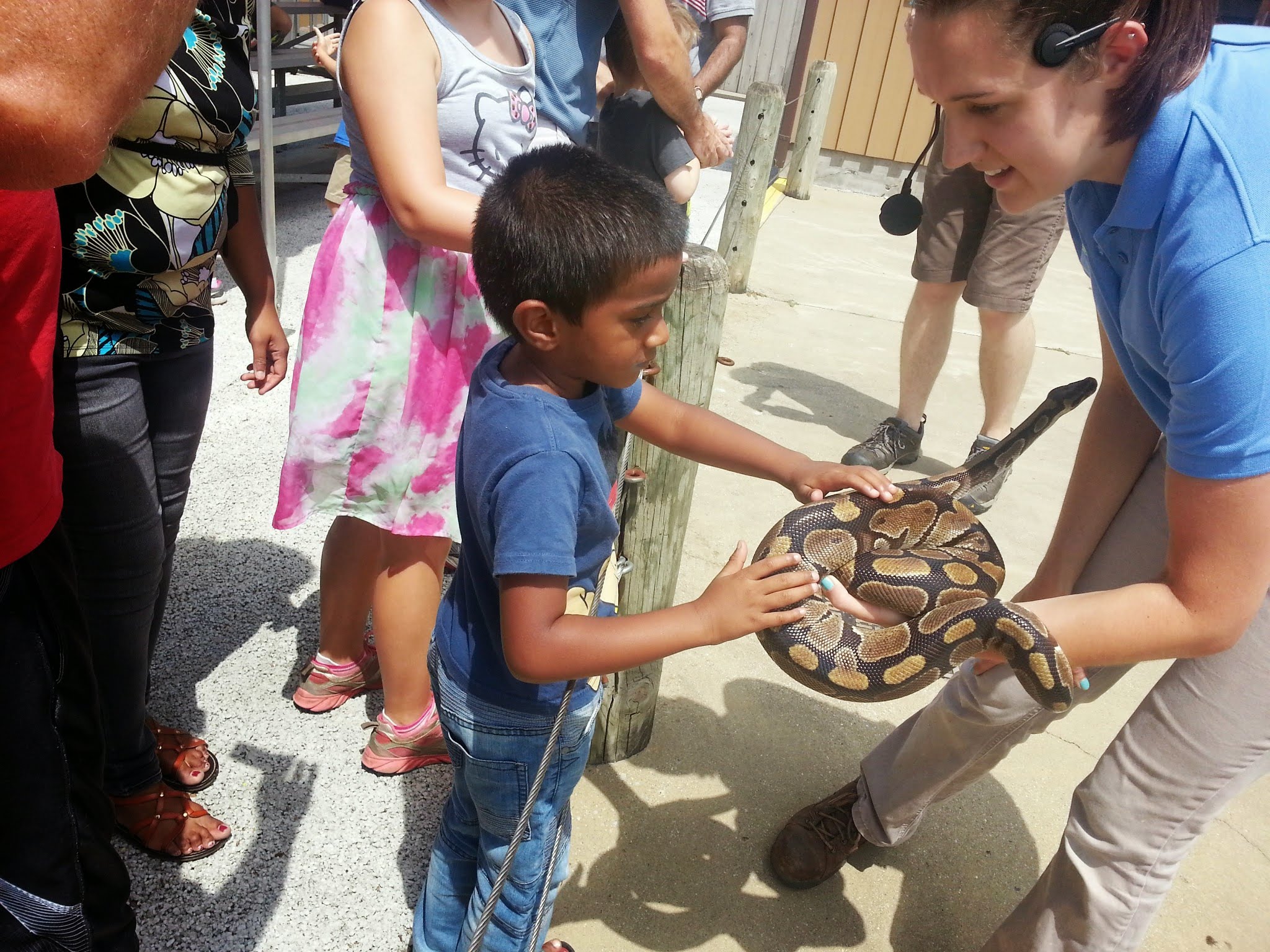 Touching a Ball Python at age 8